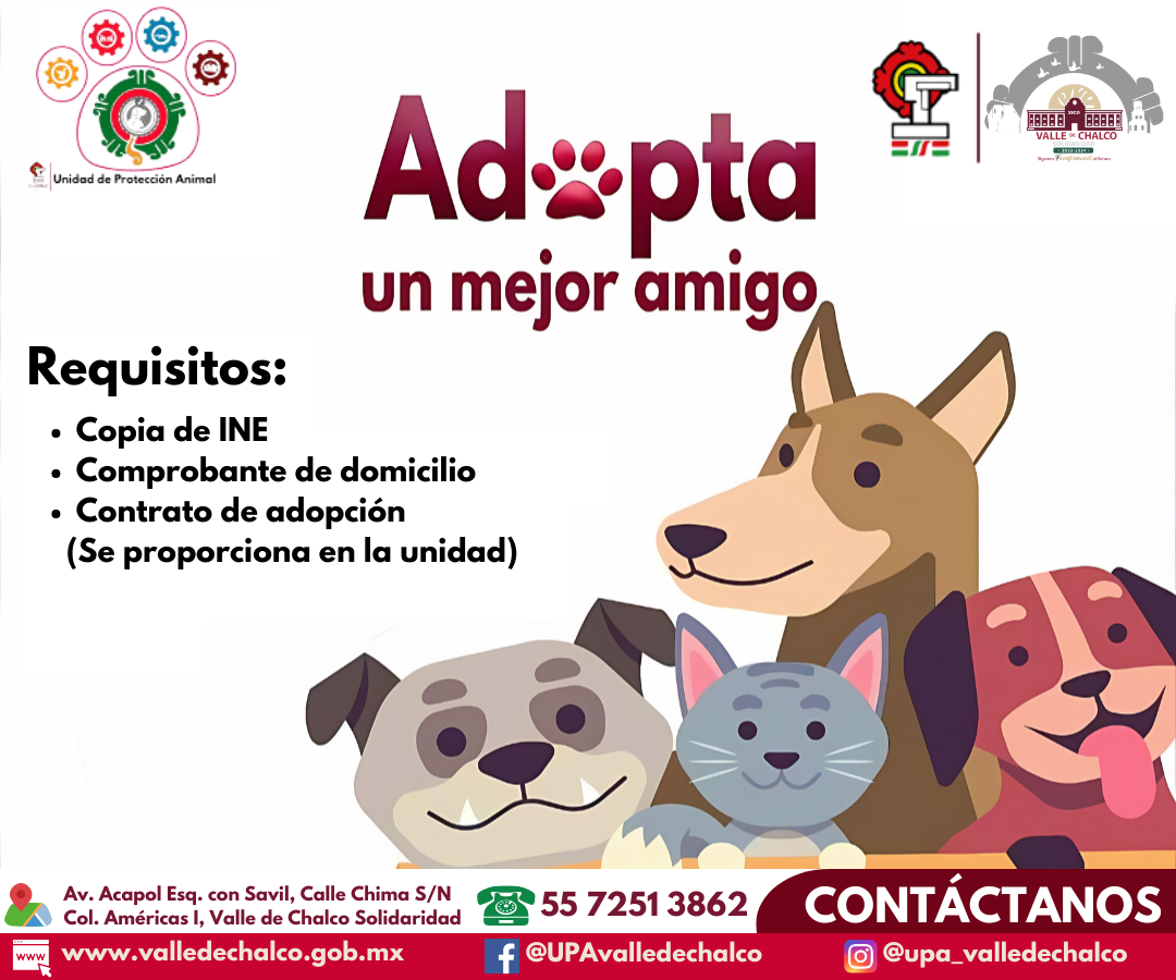 Adopta tu mascota