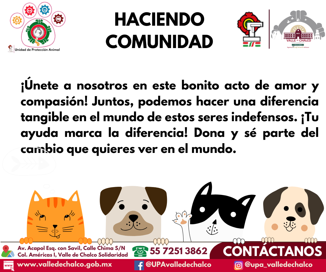 Dona alimentos para mascotas