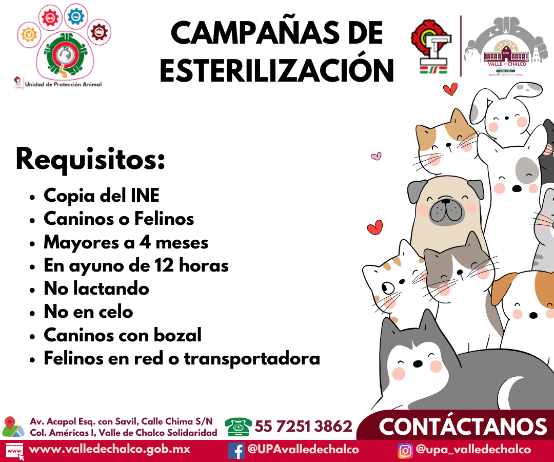 Esteriliza a tu mascota